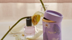 Banner 1