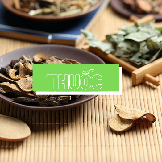 Thuốc quý