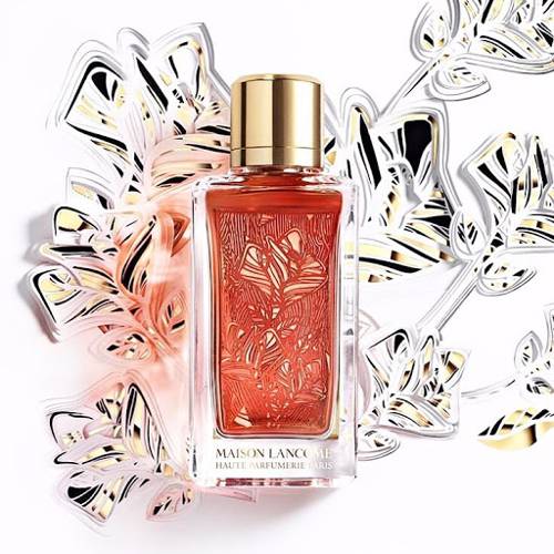 Maison Lancome Roses