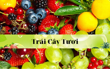 Banner 3