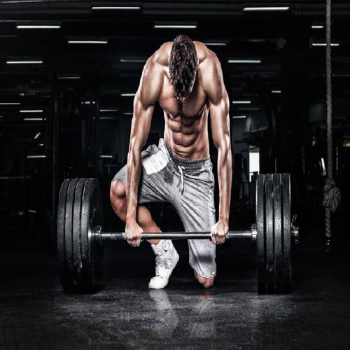 Gói Tập Thể Hình Tăng Cơ Bắp