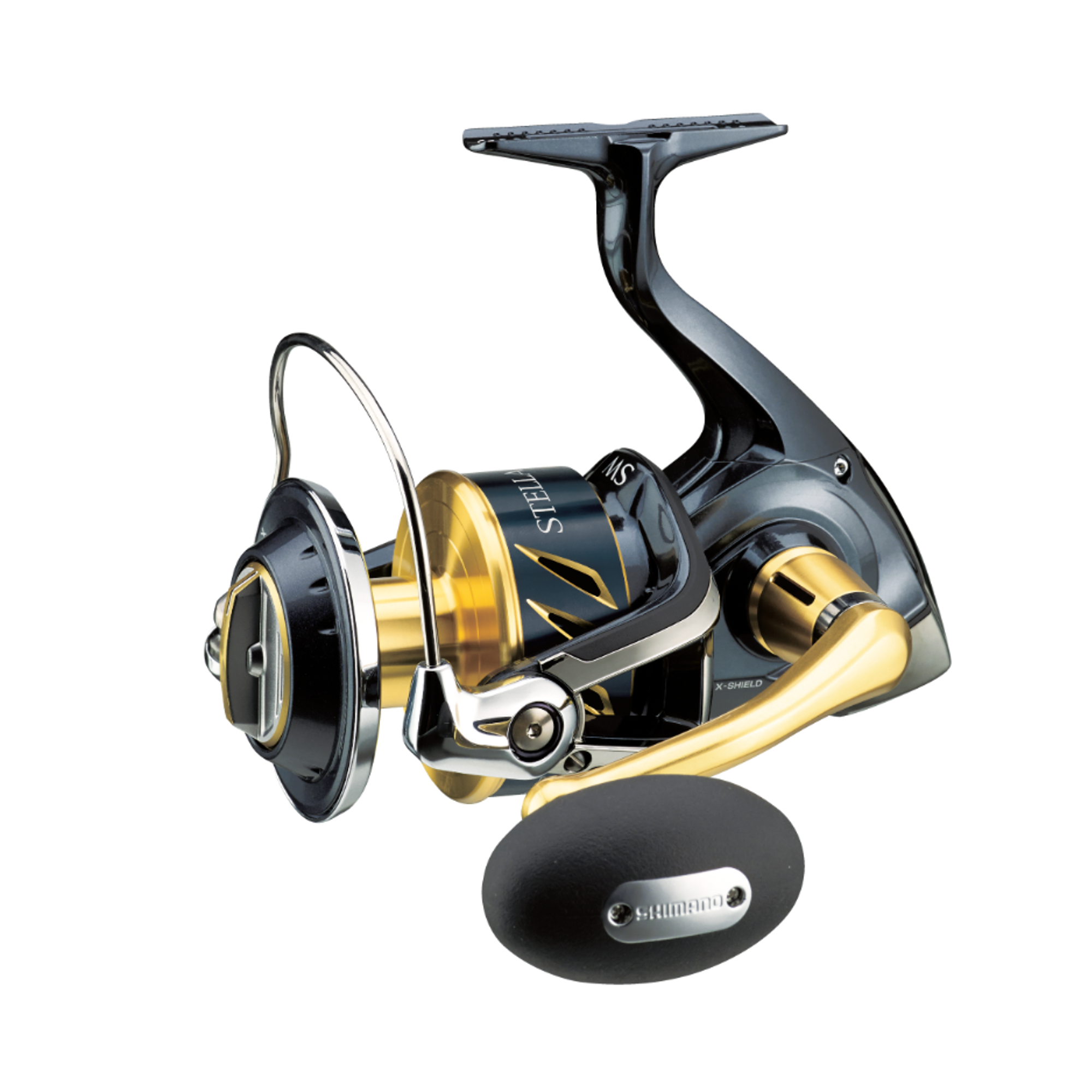 Máy câu Pioneer Rascal