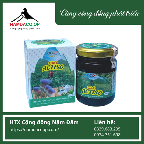 CAO ACTISO NẶM ĐĂM