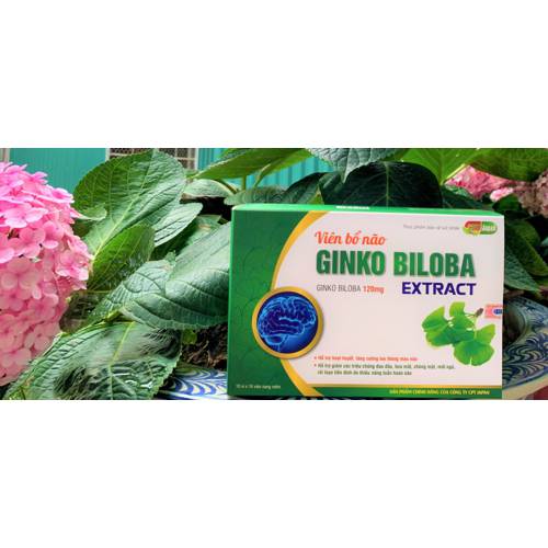 VIÊN BỔ NÃO GINKO BILOBA EXTRACT - HỖ TRỢ HOẠT HUYẾT, TĂNG CƯỜNG LƯU THÔNG MÁU NÃO