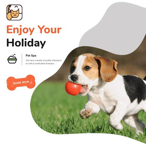Enjoy Your Holiday