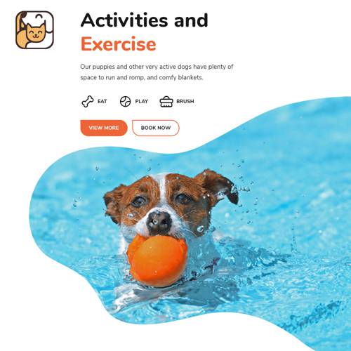 Activities anh Exercise