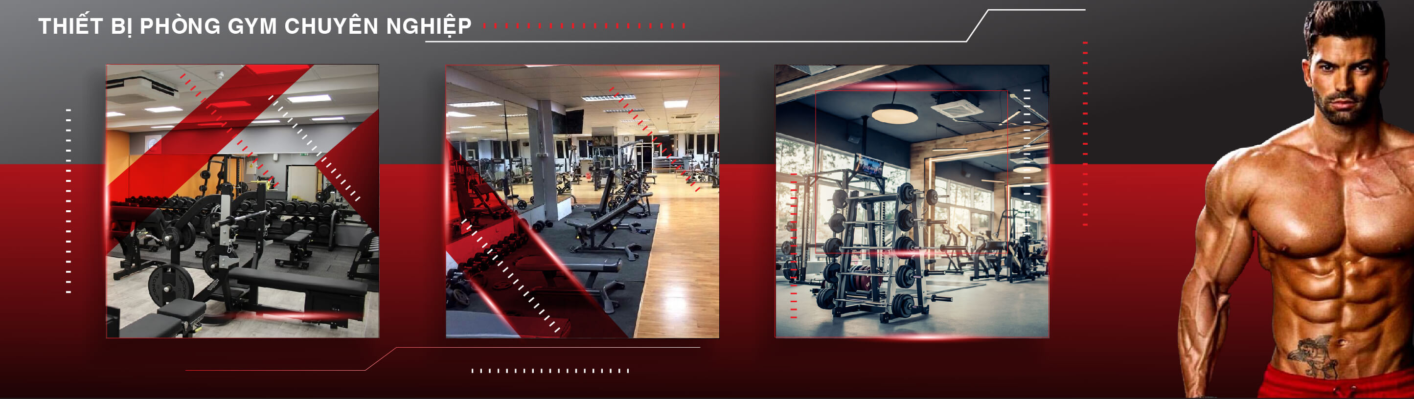 Thiết bị phòng gym chuyên nghiệp