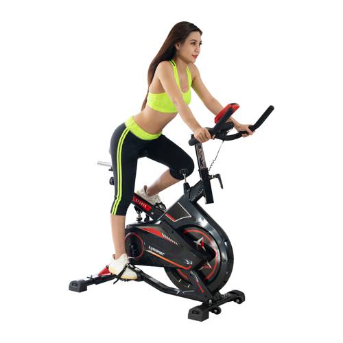 XE ĐẠP TẬP QUEENSPORT ELLIPTICAL BIKE KS-8903
