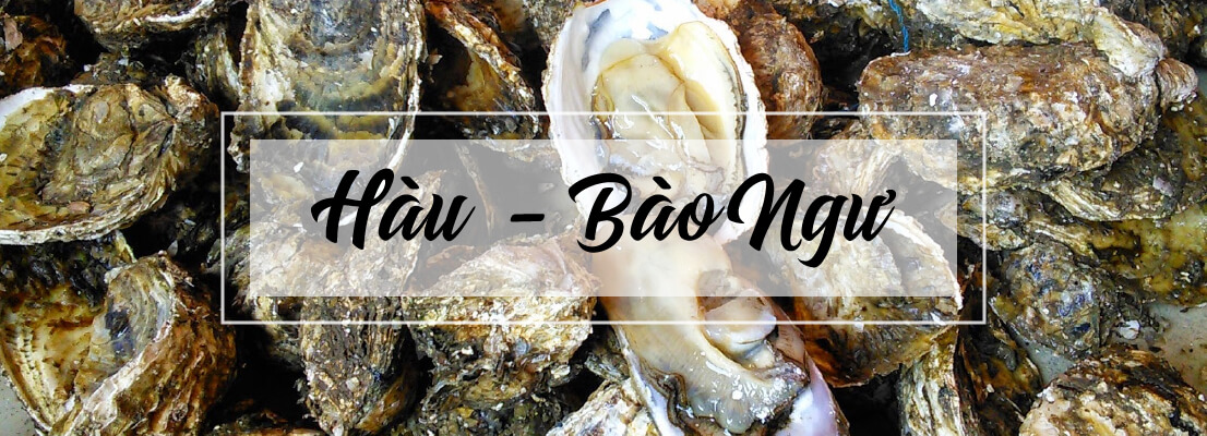 Hàu - Bào ngư