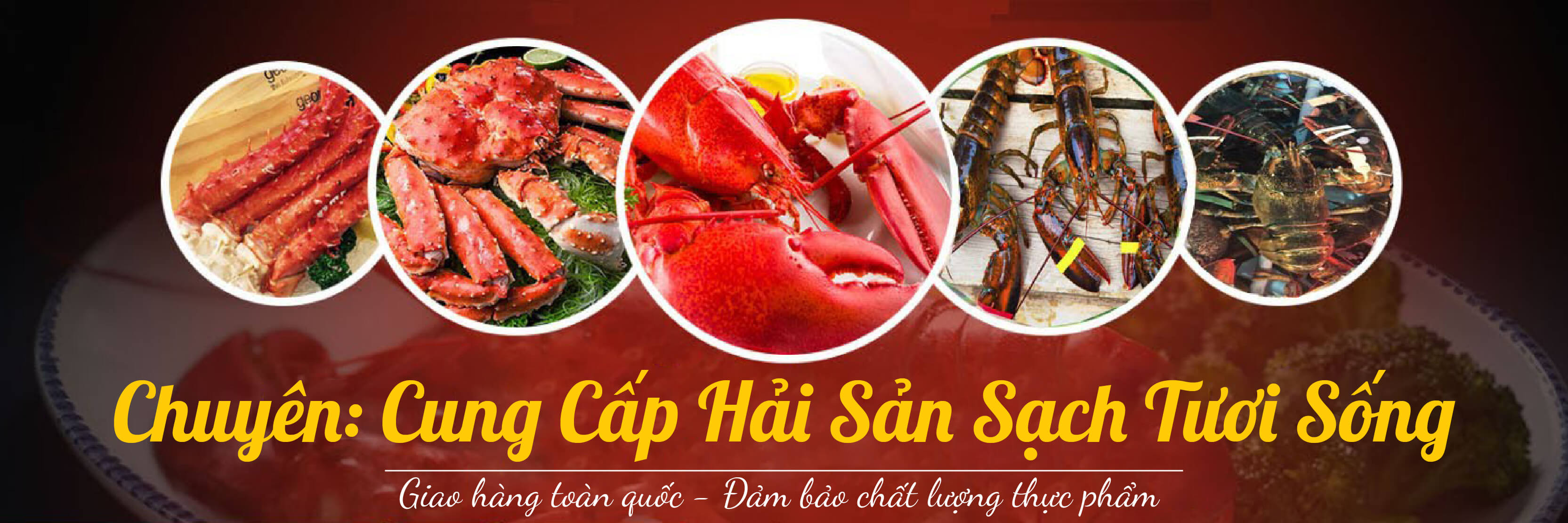 Chuyên cung cấp hải sản sạch tươi sống
