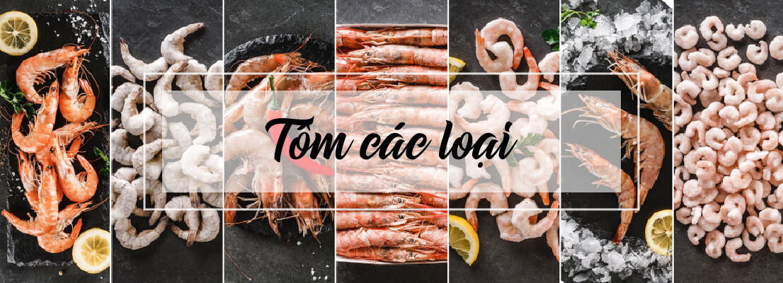 Tôm các loại