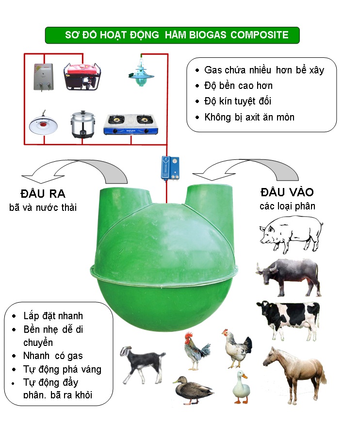Hầm bể Biogas Composite hoạt động như thế nào  Mua ngay