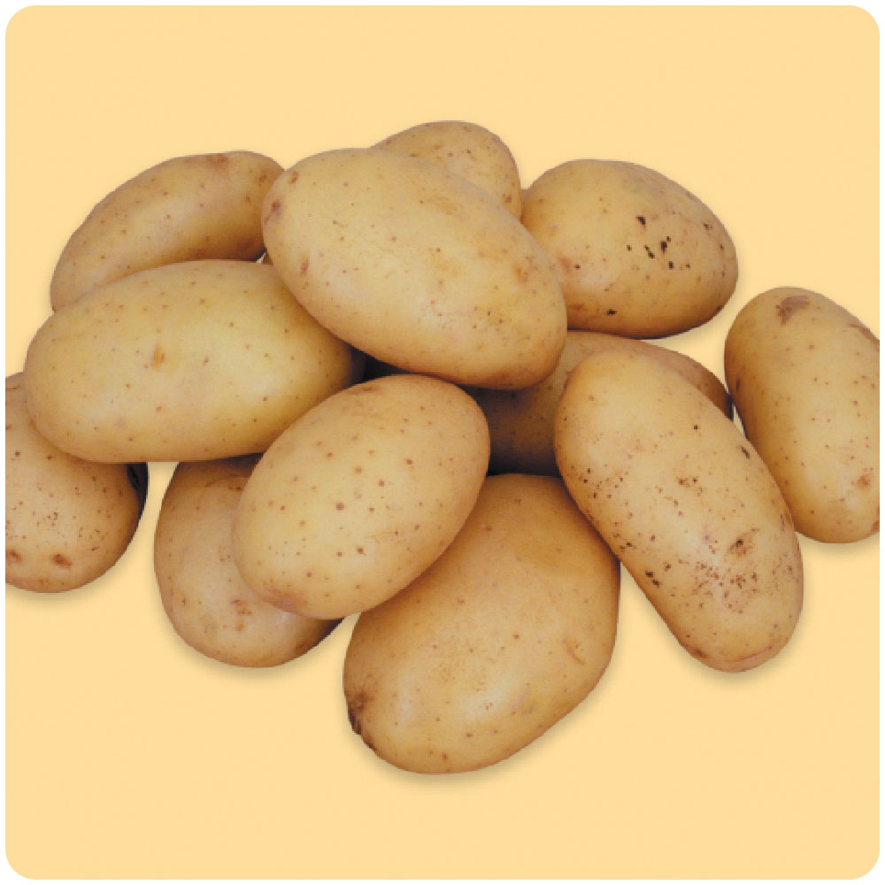 Khoai tây