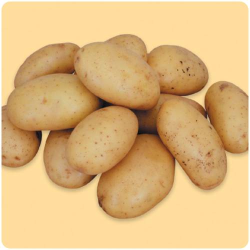 Hoa quả nhập khẩu 25