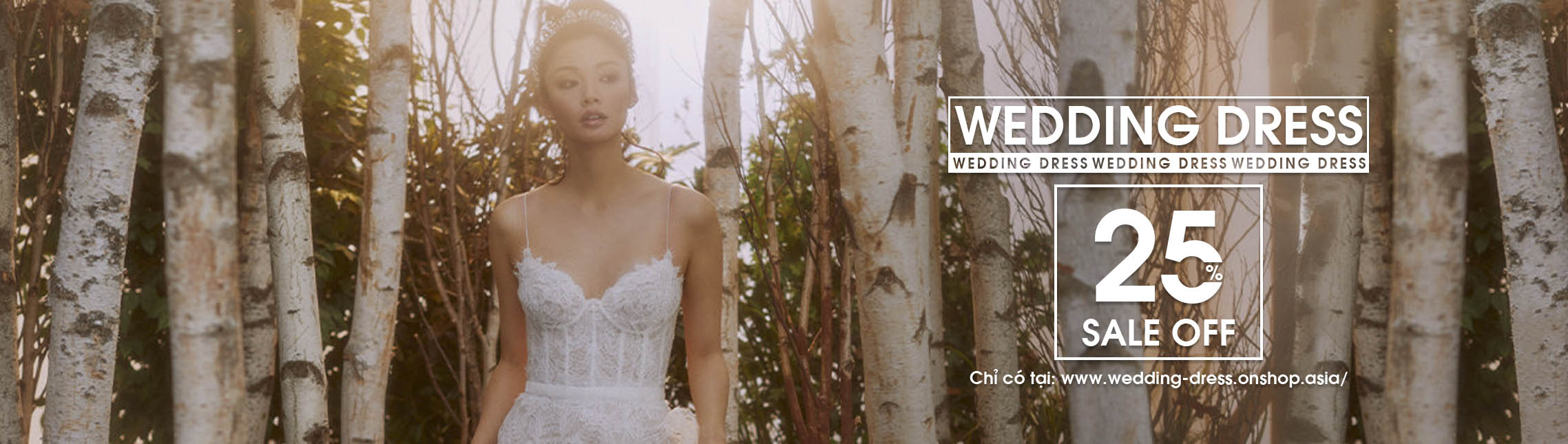 Váy cưới Wedding Dress lộng lẫy, sang trọng