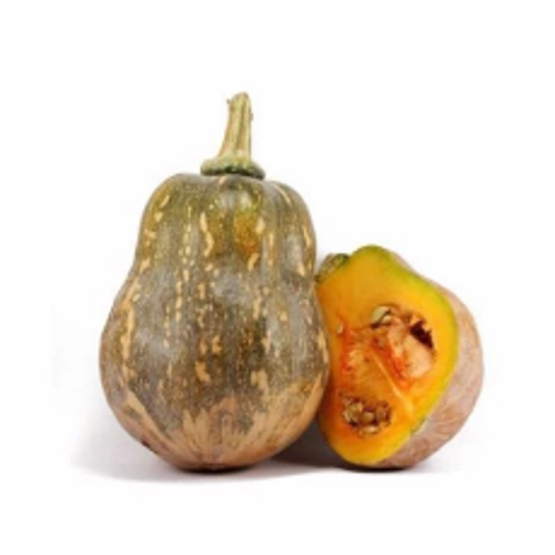 Bí đỏ